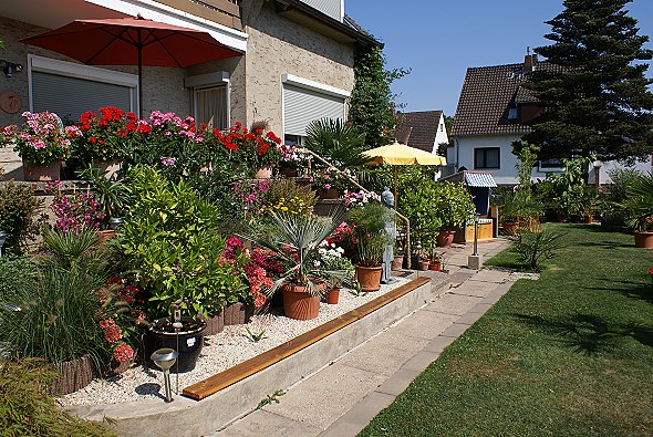 Gartenbilder 2009